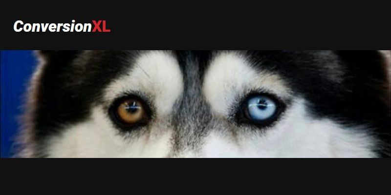 A/B Testing Mastery: From Beginner To Pro in a Blog Post