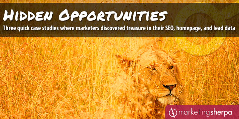 Three quick case studies where marketers discovered treasure in their SEO, homepage, and lead data