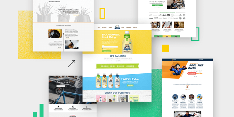 29 Best Landing Page Examples of 2020