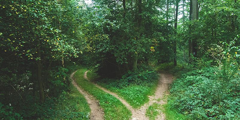 The No-Shortcut Approach to Building a Credible Content Marketing Strategy [PODCAST]