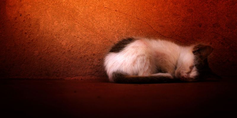 The Power of Vulnerability in Copywriting [PODCAST]