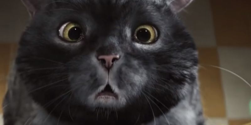 The Top 20 Most Shared Ads Of 2015 Revealed!