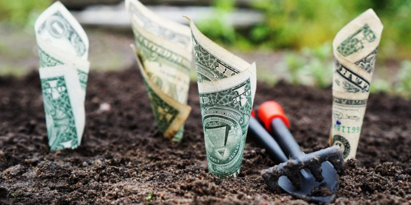 How to Run a High-Quality Content Site That Makes Money