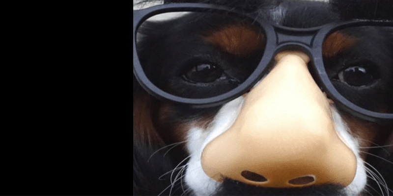 Illegitimate Influencers: Spot the Red Flags