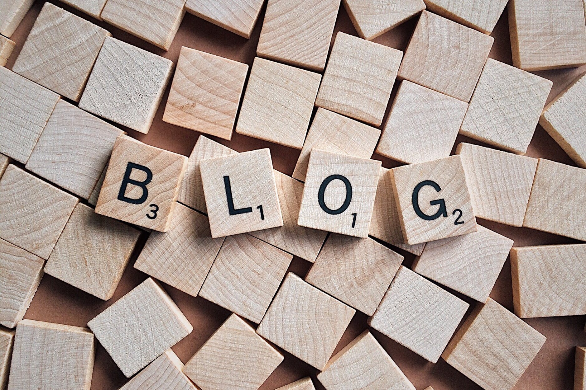 3 Places for SEO Beginners to Focus Their Time