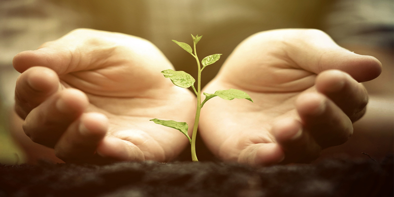 New Report Underlines the Power of User-Generated Content, Rising Influence of Social