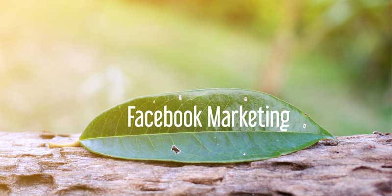 How to Use Facebook Audience Optimization for Better Organic Exposure
