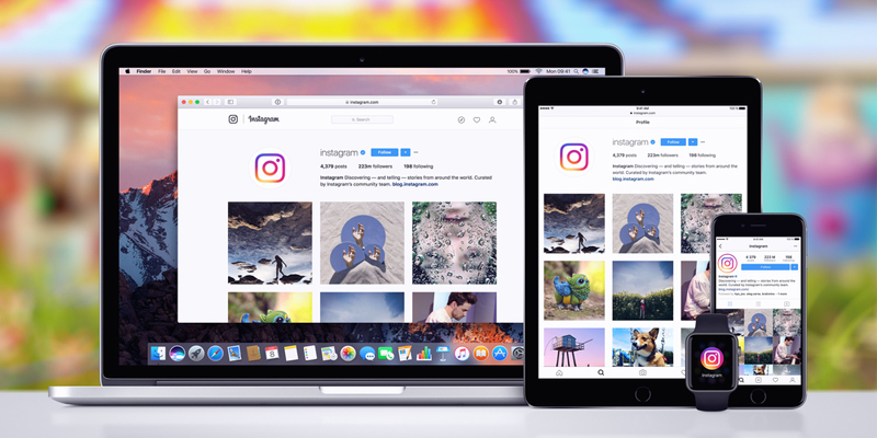 5 Key Insights into Effective Instagram Stories Performance [Report]