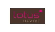 Lotus Flower Shop