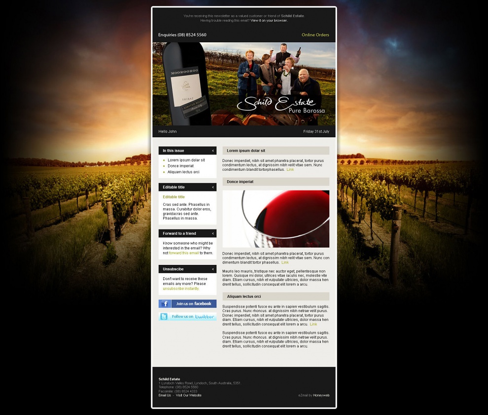 Schild Estate - Email Marketing